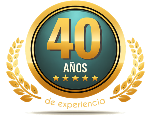 Experiencia desde 1985 en restauración de arte y porcelanas